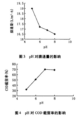 納濾膜，廢水滲透液，COD，去除效果