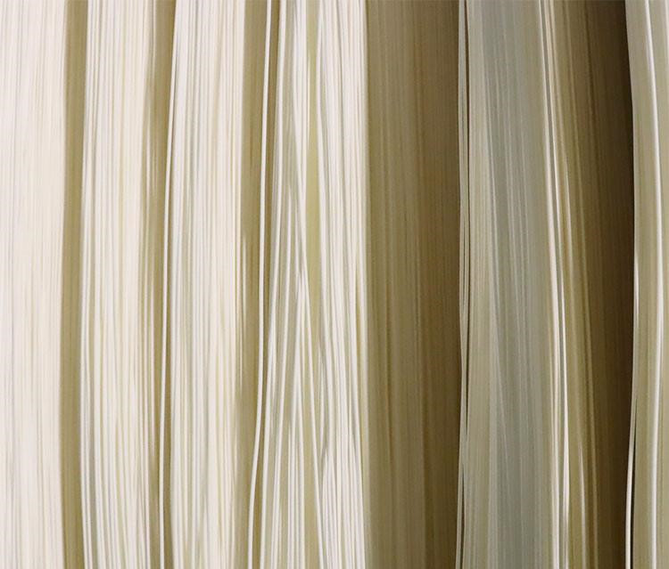 MBR膜多少錢(qián)一組